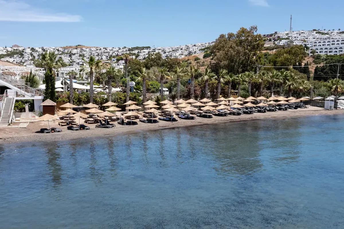 Plaża hotelowa w Turgutreis na półwyspie Bodrum: parasole z trzciny, leżaki, palmy i białe domy na zboczu wzgórza