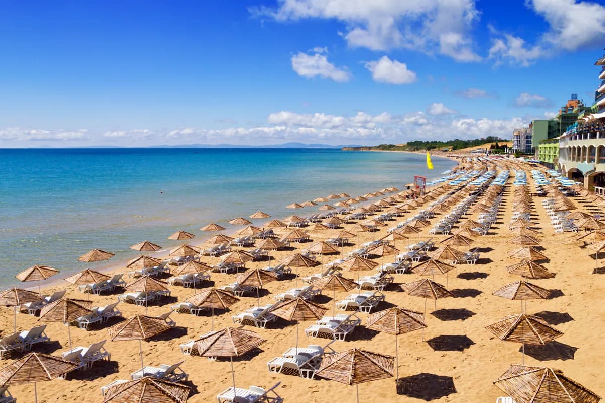 Szeroka piaszczysta plaża w Słonecznym Brzegu w Bułgarii z rzędami trzcinowych parasoli i leżaków nad spokojnym Morzem Czarnym