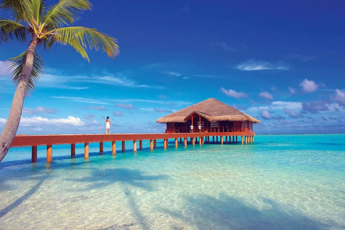 Drewniany pomost nad płytką, turkusową laguną prowadzący do pawilonu krytego strzechą w resorcie Medhufushi na Malediwach, na pierwszym planie palma
