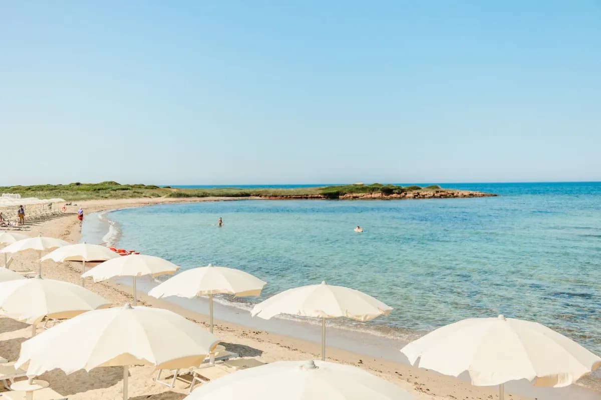 Piaszczysta plaża nad Adriatykiem w Apulii z rzędami białych parasoli, płytka turkusowa woda i niski, porośnięty zielenią skalisty cypel