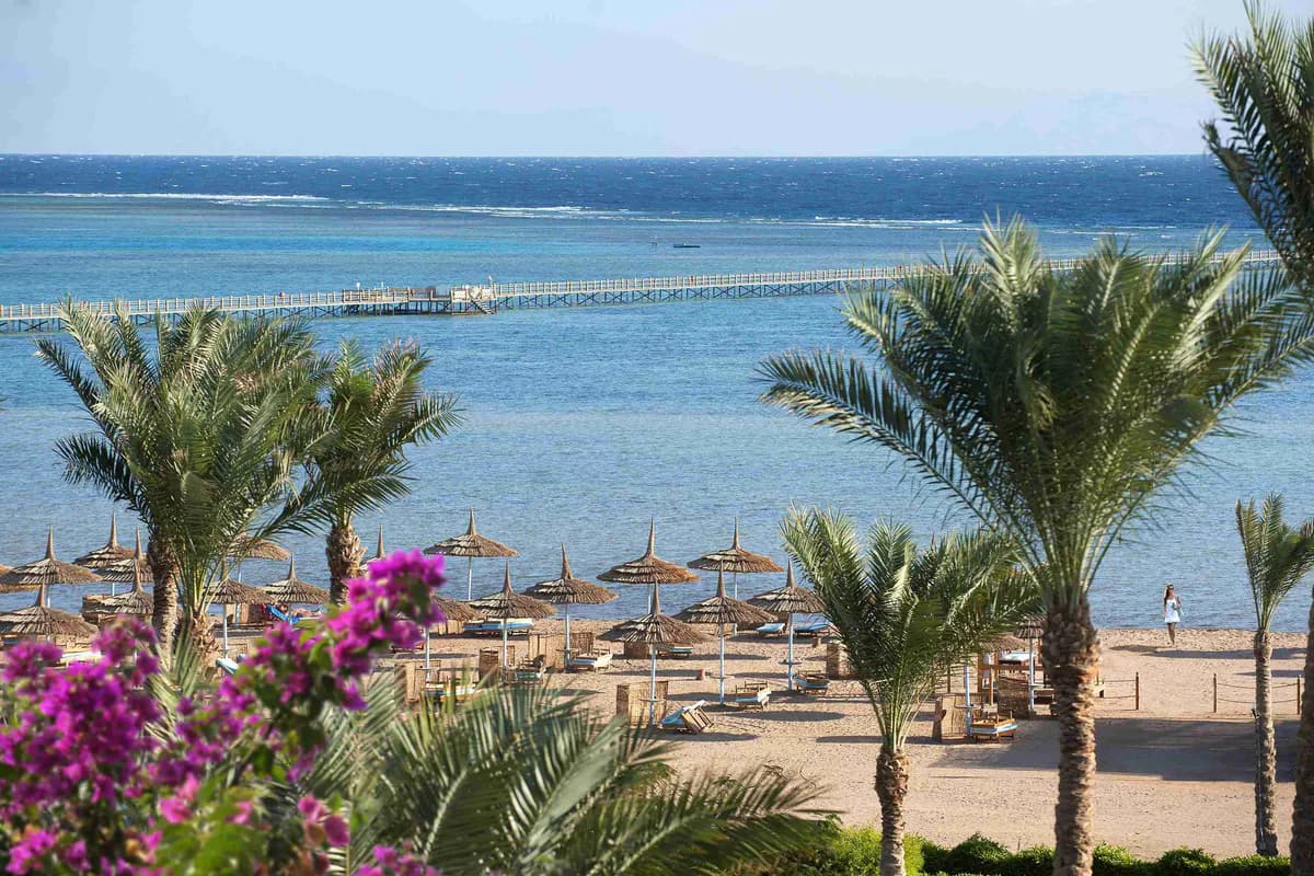 Plaża hotelu Amwaj Oyoun w Szarm el-Szejk z palmami i parasolami, długi pomost nad rafą i Morze Czerwone, na pierwszym planie kwitnąca bugenwilla