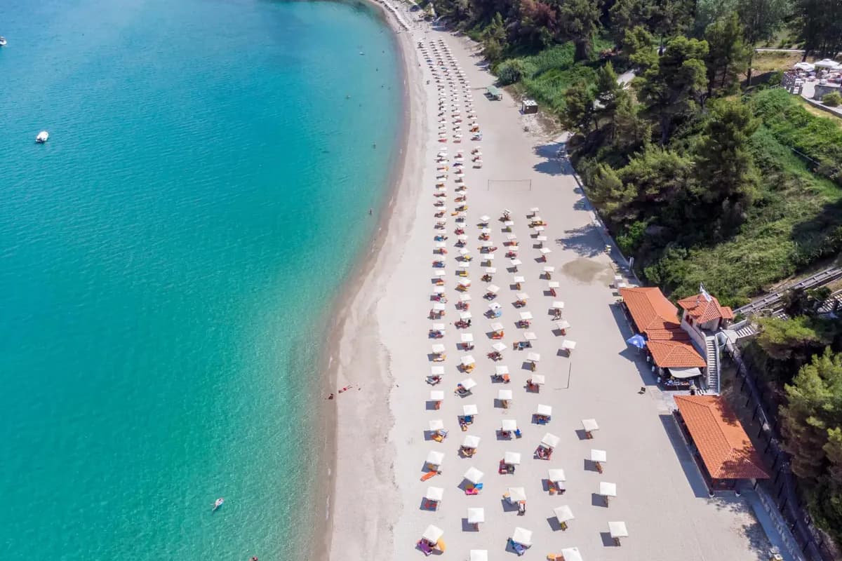 Plaża w Kriopigi na Kassandrze z lotu ptaka: rzędy parasoli na jasnym piasku, turkusowa woda i sosnowy las na zboczu