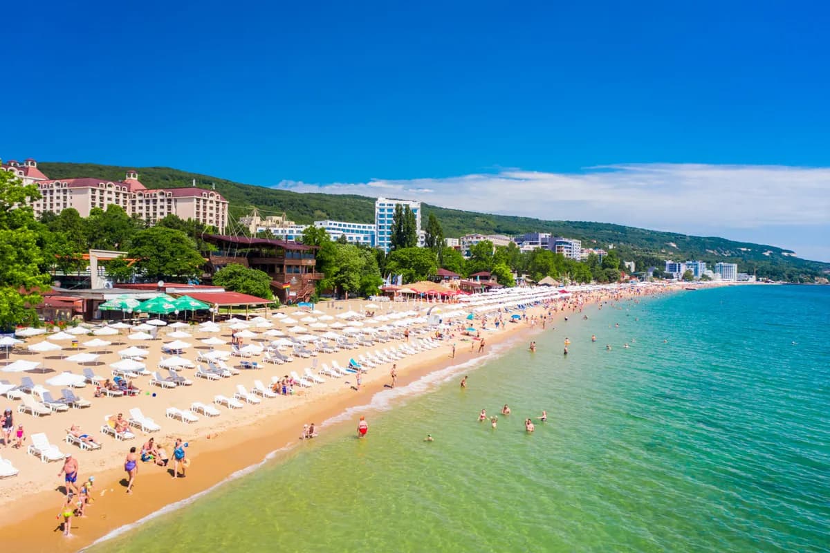 Plaża w Złotych Piaskach: rzędy białych leżaków na złotym piasku, płytka zielonkawa woda i hotele na tle zalesionych wzgórz