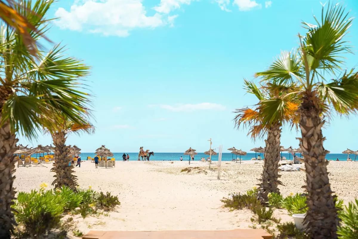 Szeroka plaża z jasnym piaskiem przy hotelu Occidental Marco Polo w Hammamecie, palmy na pierwszym planie, parasole z suchych liści i Morze Śródziemne